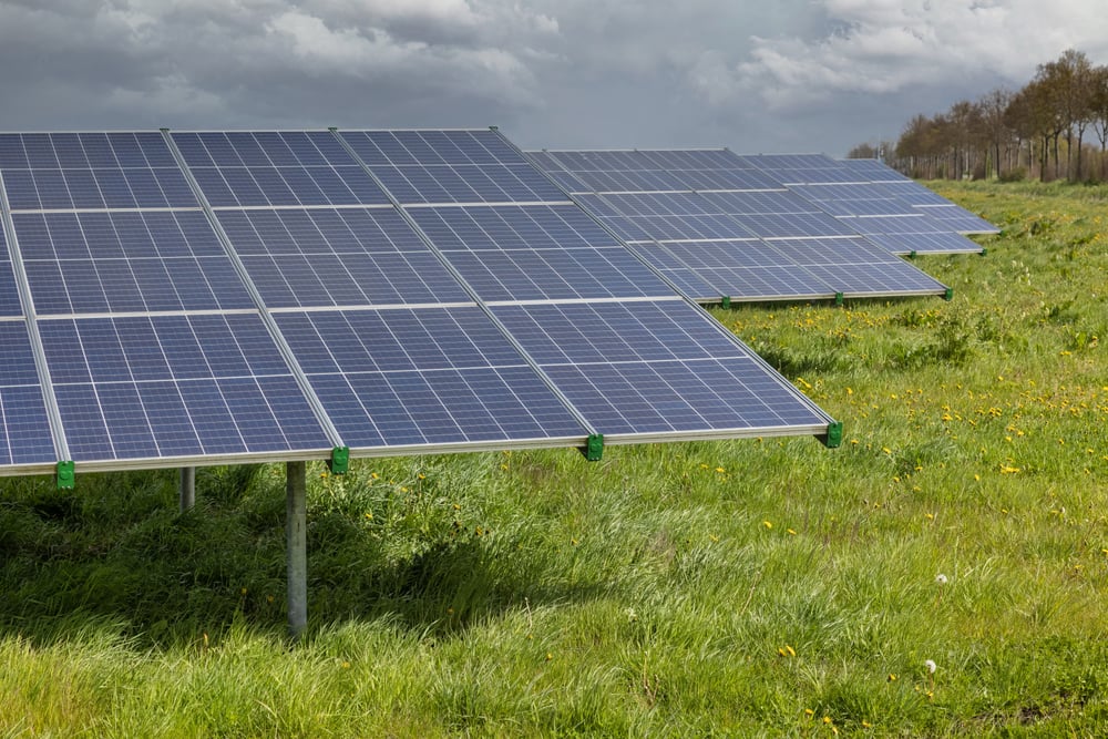 Zonnepanelen in een weiland