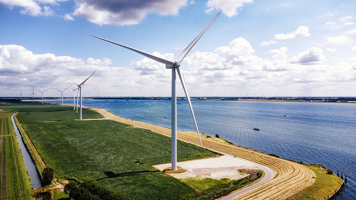 Windpark op een dijk