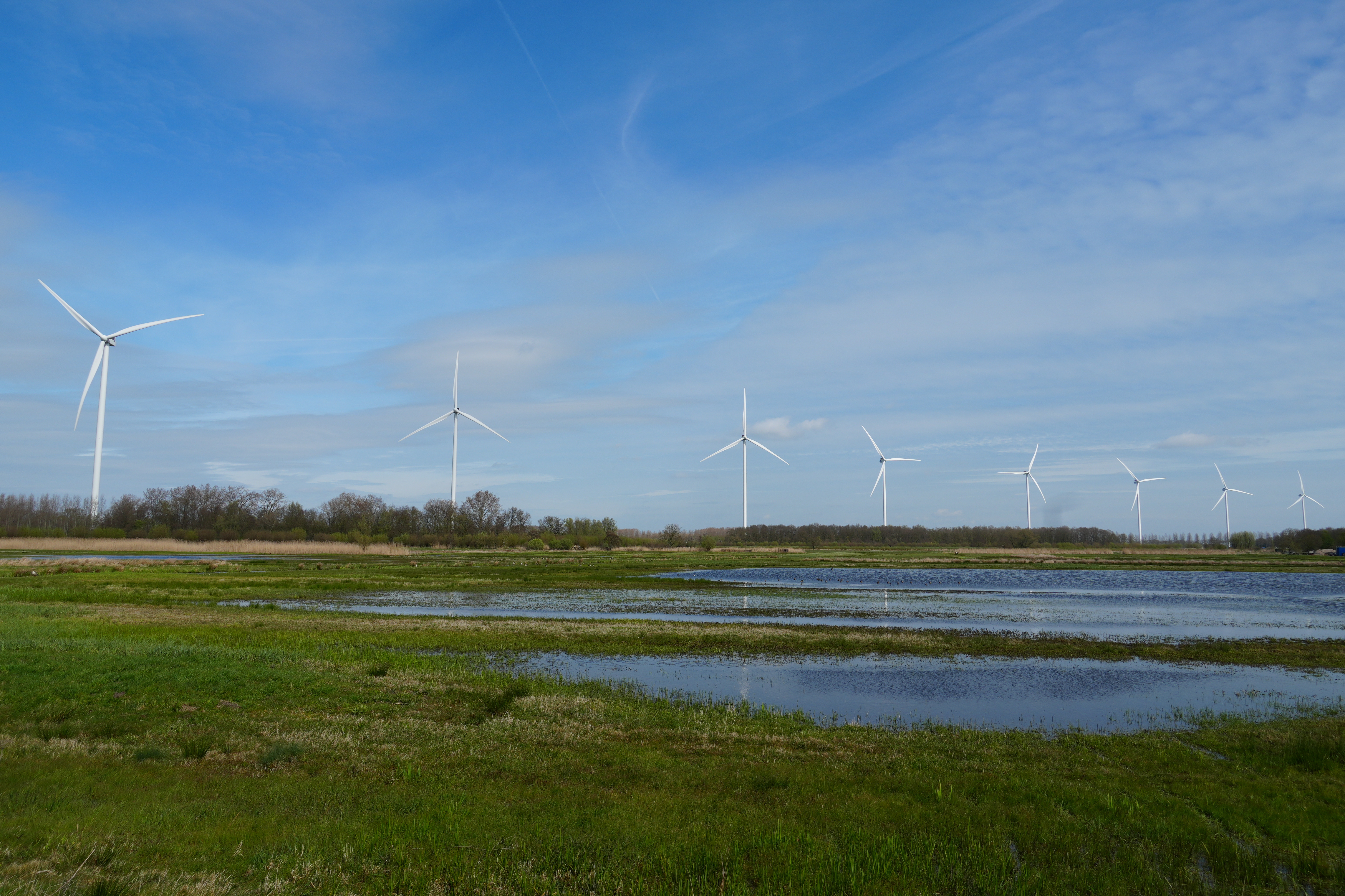 Windpark Deil met op de voorgrond een waterplas. 